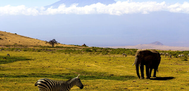 Tanzania